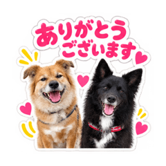 Nicky & Mei_20260826122711
