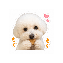 BLESS U STAMPS_20260826122938