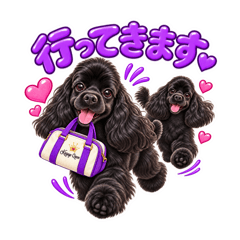 黑可卡犬的快乐生活