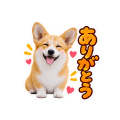 kazuuu!_20260826125657
