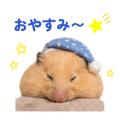 kinamaru_20260826124506