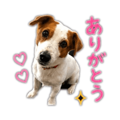 TSUKASA_20260826131132