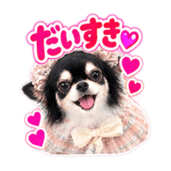 toshi_20260826125133