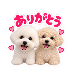 bishon&tiwamaru