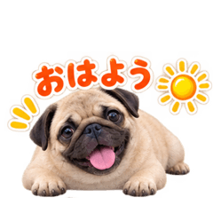 hana_20260826142619