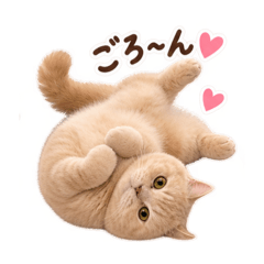 FUKUNYA_2021