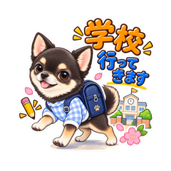 YUMI_20260824003845