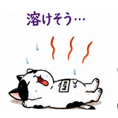 modoki_20260826150021