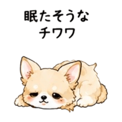 Sleepy Chihuahua: Chill Daily Essentials