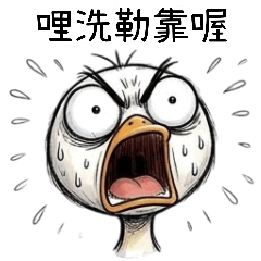 How is the white rotten duck now?