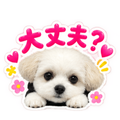 Gon_20260826165432