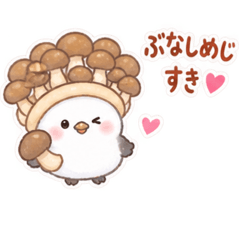 335chan_20260826171115
