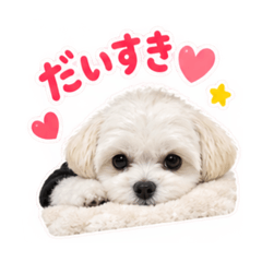 Gon_20260826172801
