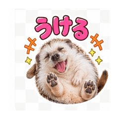atsuhito_20260826174312