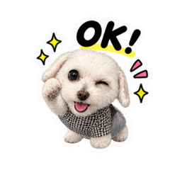 aikichi_20260826123337