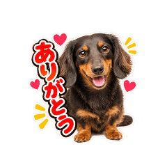 kazuuu!_20260826174319