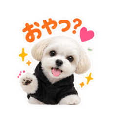 Gon_20260826174342