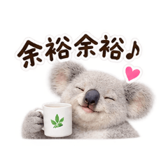 Real Koala Chill & Overwhelmed Koala