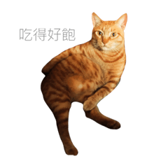 dangao