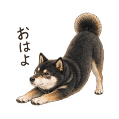 wagaya_20260826181556