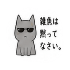 Rigachi_20260826185007