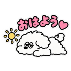 riri_20260826134740