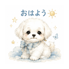 Fumiya_20260826194713