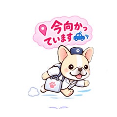 Yumi holistic vet French