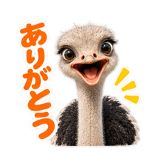 yu_chan_20260826200536