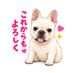 KURO_20260826202619