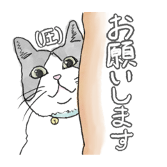 haru_20260826202754