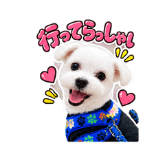 Everyday Stickers with My Fluffy Dog