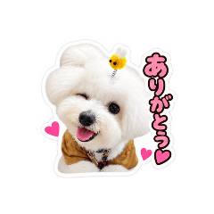 BLESS U STAMPS_20260826210622