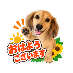 moka_20260826210609