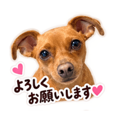 minipin_0826