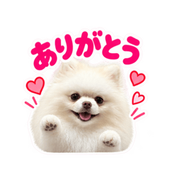 PUPU-------