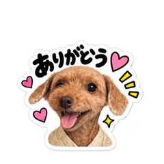 aikichi_20260826193556