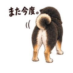 wagaya_20260826193915
