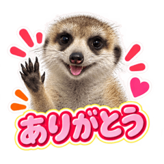 TOUKAIRIN_20260826214048
