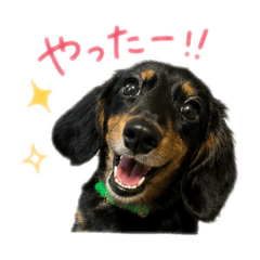 sakurakun_20260826215358
