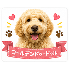 Cute Goldendoodle Stickers