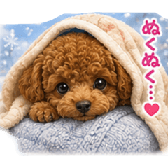 koko_20260826222012