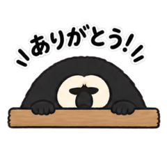 ryu_20260826222452