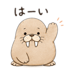 Pocha-don_20260826225203
