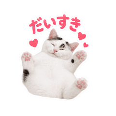 haru_20260826230749