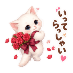 manami_20260826231303
