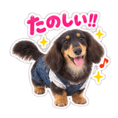 naminori0221_20260826231343
