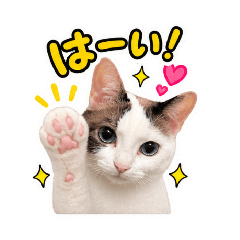 haru_20260826232003