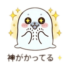 Shibakoro_20260826231731