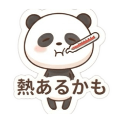 Shibakoro_20260826234754